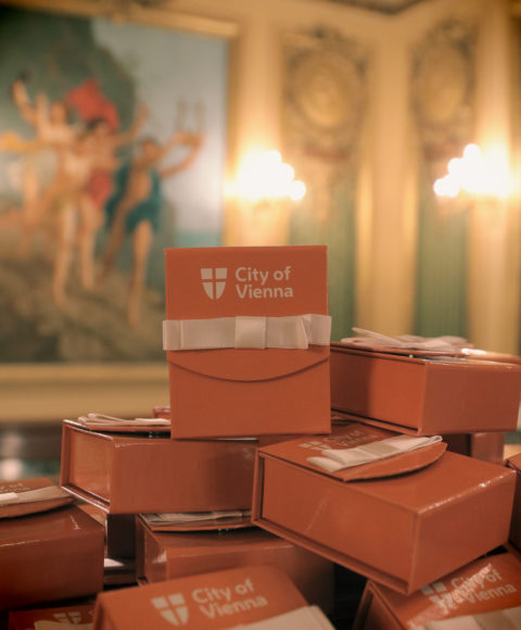 Bal Viennois 2025 - 2e - by Rachel Pesquet photographe-1161