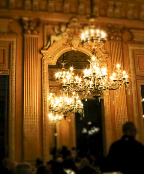 Bal Viennois 2025 - 2e - by Rachel Pesquet photographe-1486