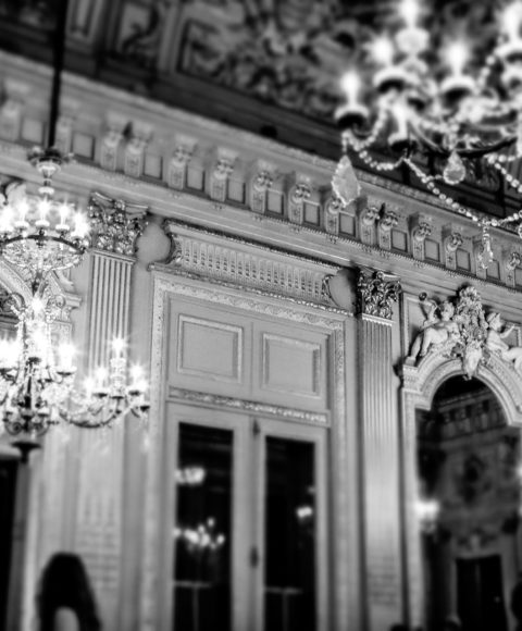 Bal Viennois 2025 - 2e - by Rachel Pesquet photographe-1488