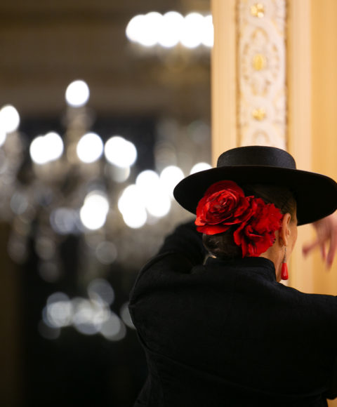 Bal Viennois 2025 - web def by Rachel Pesquet photographe-5691